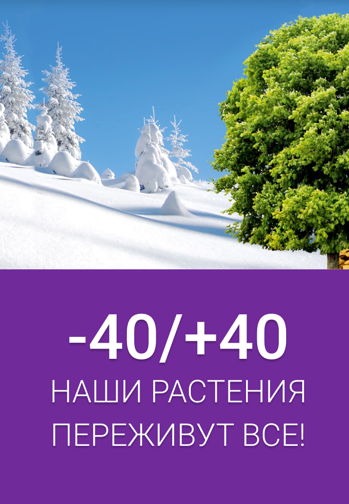 Наши растения переживут все